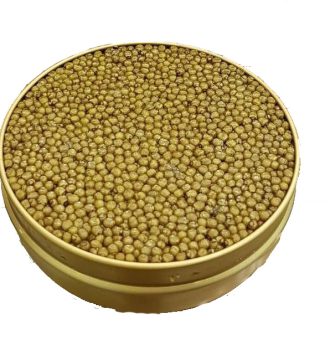 خاویار آسترا طلایی