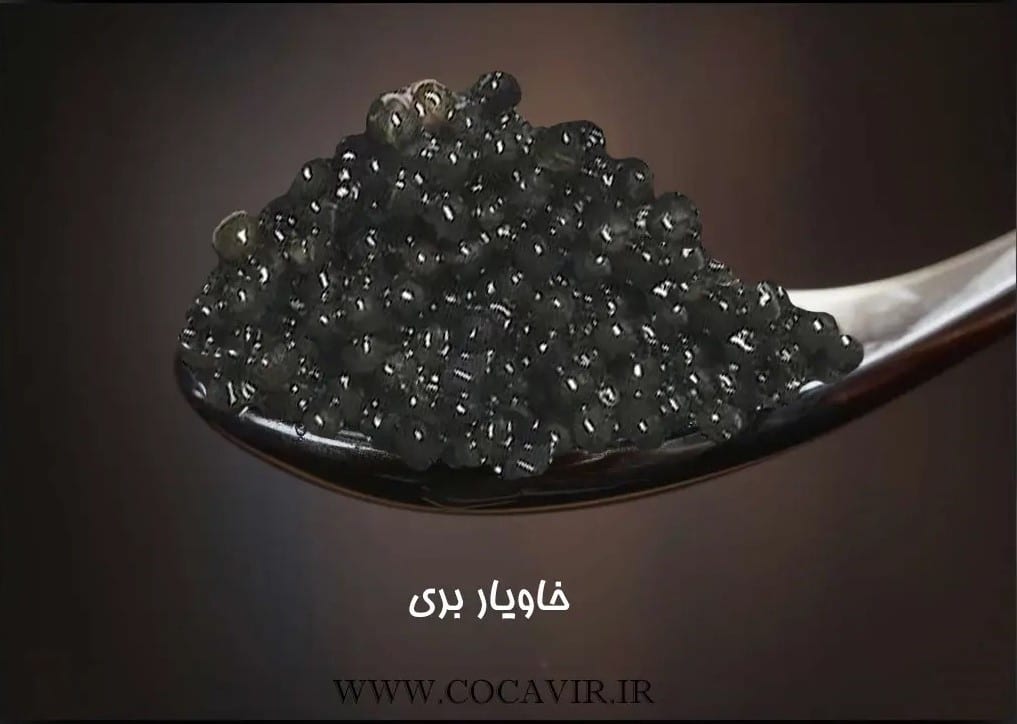 خاویار بری