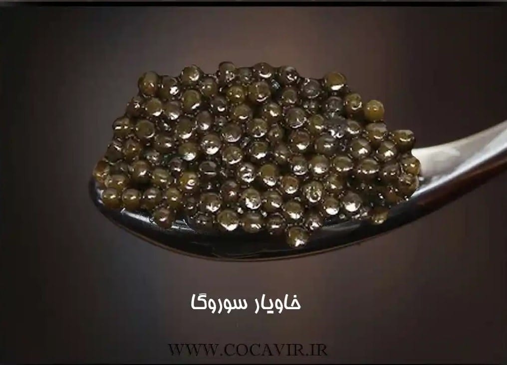 خاویار سوروگا